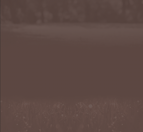 upload/1501781766-65092-capturedaeacran2017-08-03aa19.png