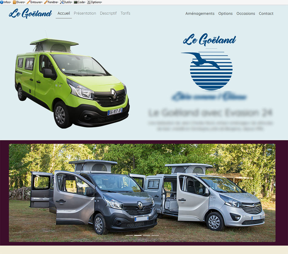 upload/1509093633-40948-goeland-2.jpg