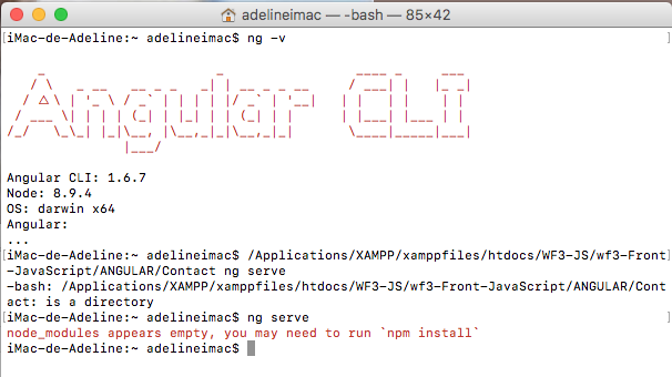 upload/1517938965-69183-terminal1.png