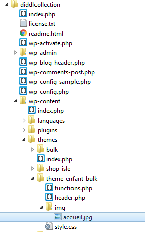 upload/1524039097-70647-ftp.png