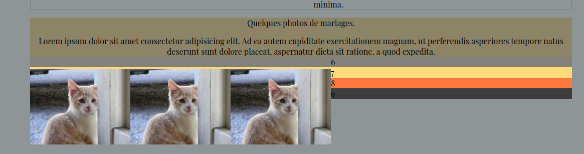 upload/1593423010-79979-1.png