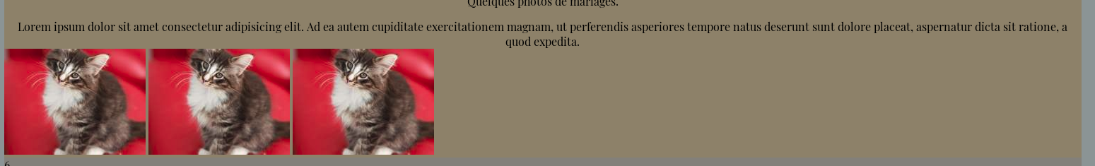 upload/1593683370-79979-1.png