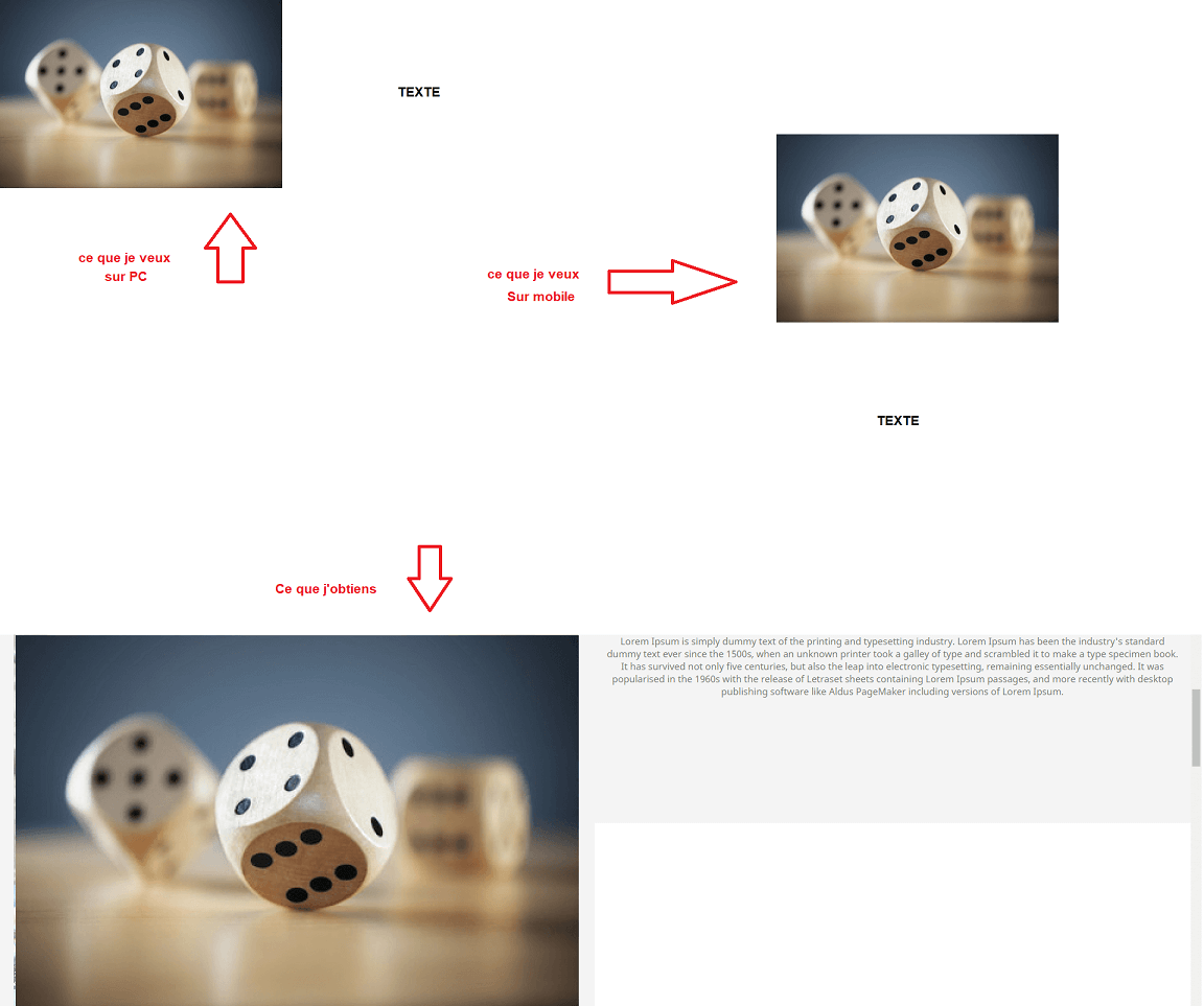 upload/1597266876-80775-alsacrea11.png