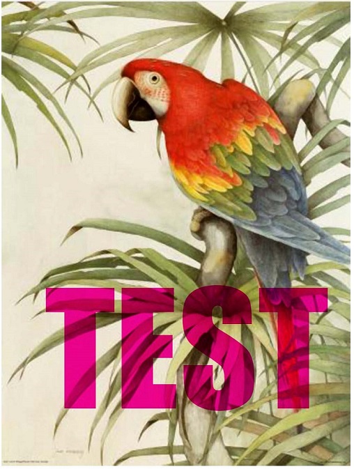upload/1600552613-81121-test.jpg