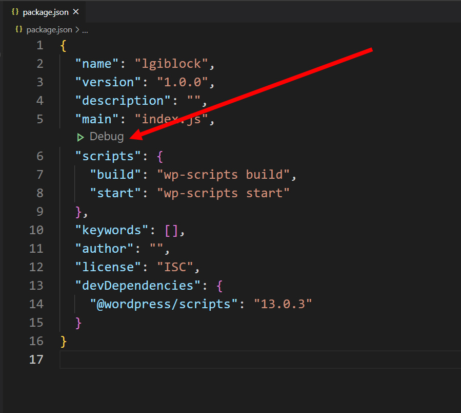 upload/1612824549-40948-debugg.jpg