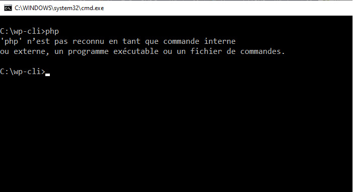 upload/1612946730-40948-cmd.jpg