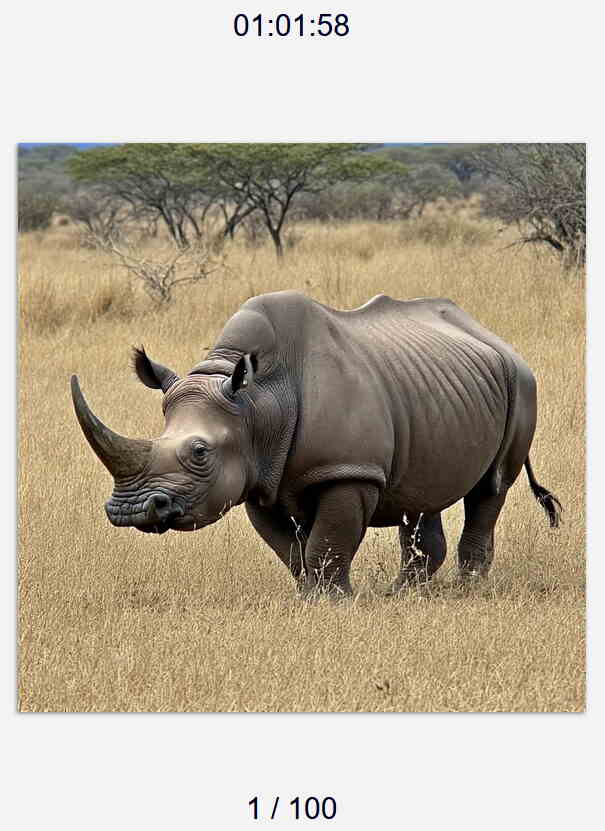 upload/1762616894-61012-rhino.jpg