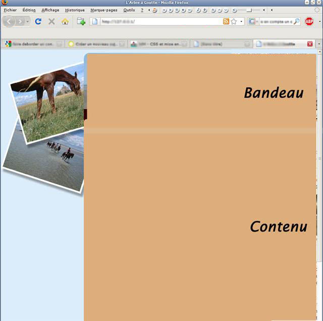 upload/18243-4Small.jpg