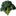 upload/196-broccoli.jpg