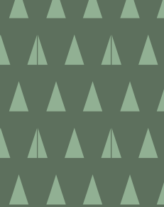 upload/21415-Capturedan.png