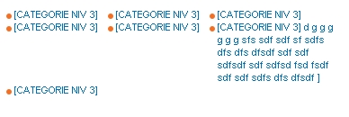 upload/224-liste-IE.jpg