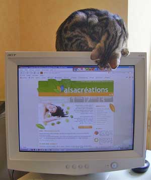 upload/3008-quebec.jpg
