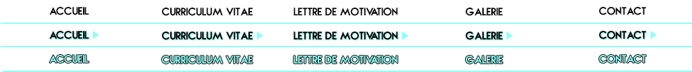 upload/55793-nav.gif