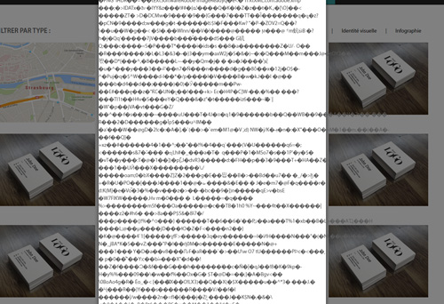 upload/58255-bug.jpg
