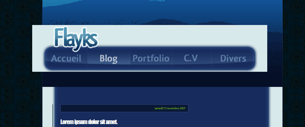 upload/8634-flayks1.png