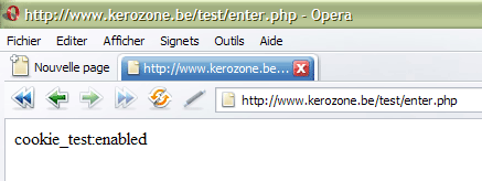 upload/8634-testkerozon.png